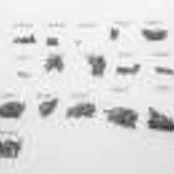 DJI-S900-P28 DJI S900 Screw Pack